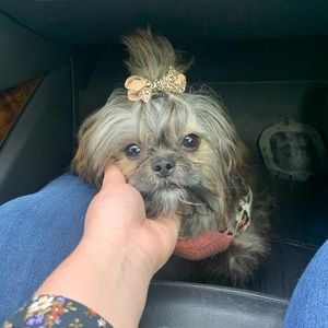 Meet your Posher, Leslie